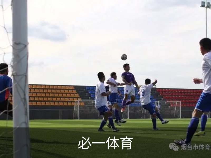 必一体育介绍